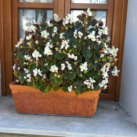 Papagiannopoulou Zagorá