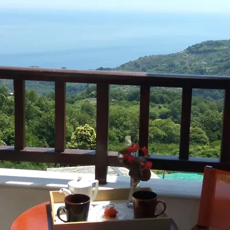 Papagiannopoulou Apartment Zagora