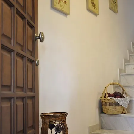 Papagiannopoulou Apartment Zagora