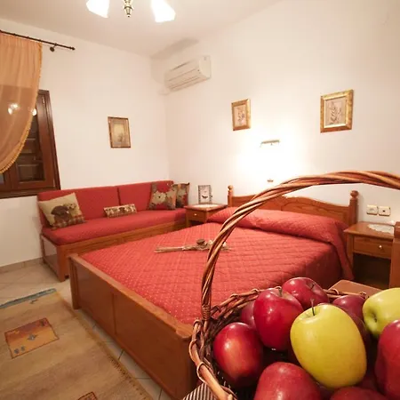 Apartment Papagiannopoulou Zagora
