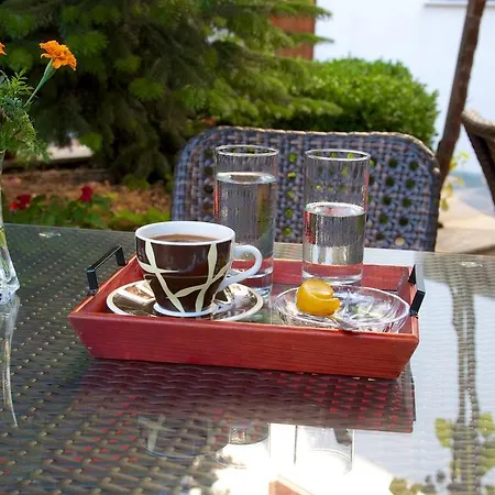 Papagiannopoulou Apartment Zagora