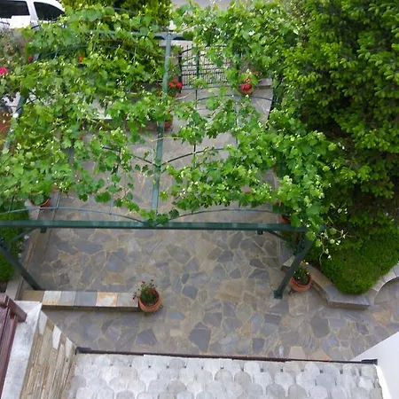 Papagiannopoulou Ζαγορά