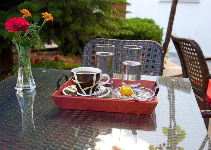 Papagiannopoulou Apartament Zagora