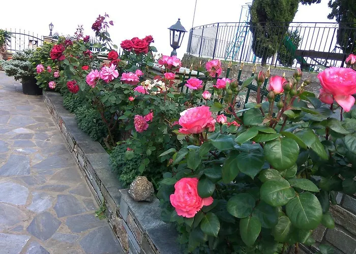 Papagiannopoulou Apartament *