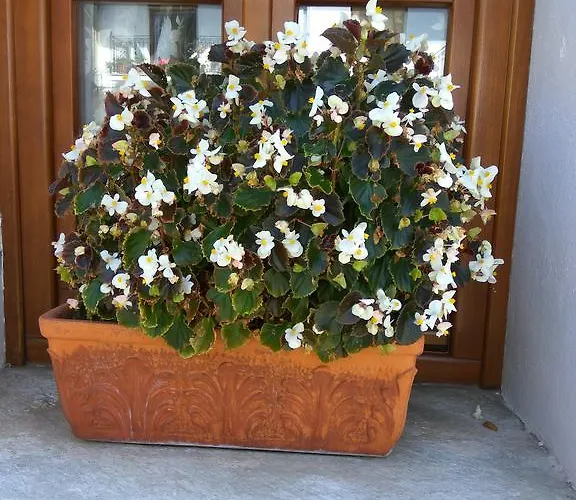 Papagiannopoulou Zagora